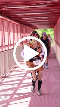 BIB:  <button type="button" onclick="openModal(27538458)" class="btn btn-primary btn-sm float-right" data-toggle="modal" data-target=".modal-high-quality">
                <i class="fa fa-download"></i> Download
                </button>